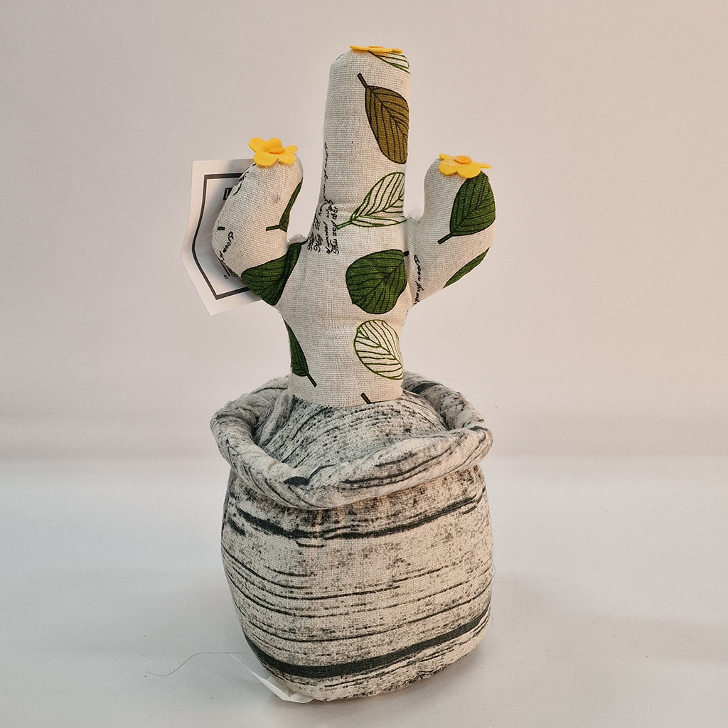 Fermaporta Cactus