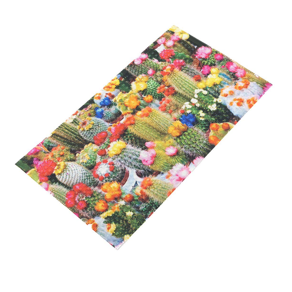 Zerbino Digitale My House Cactus