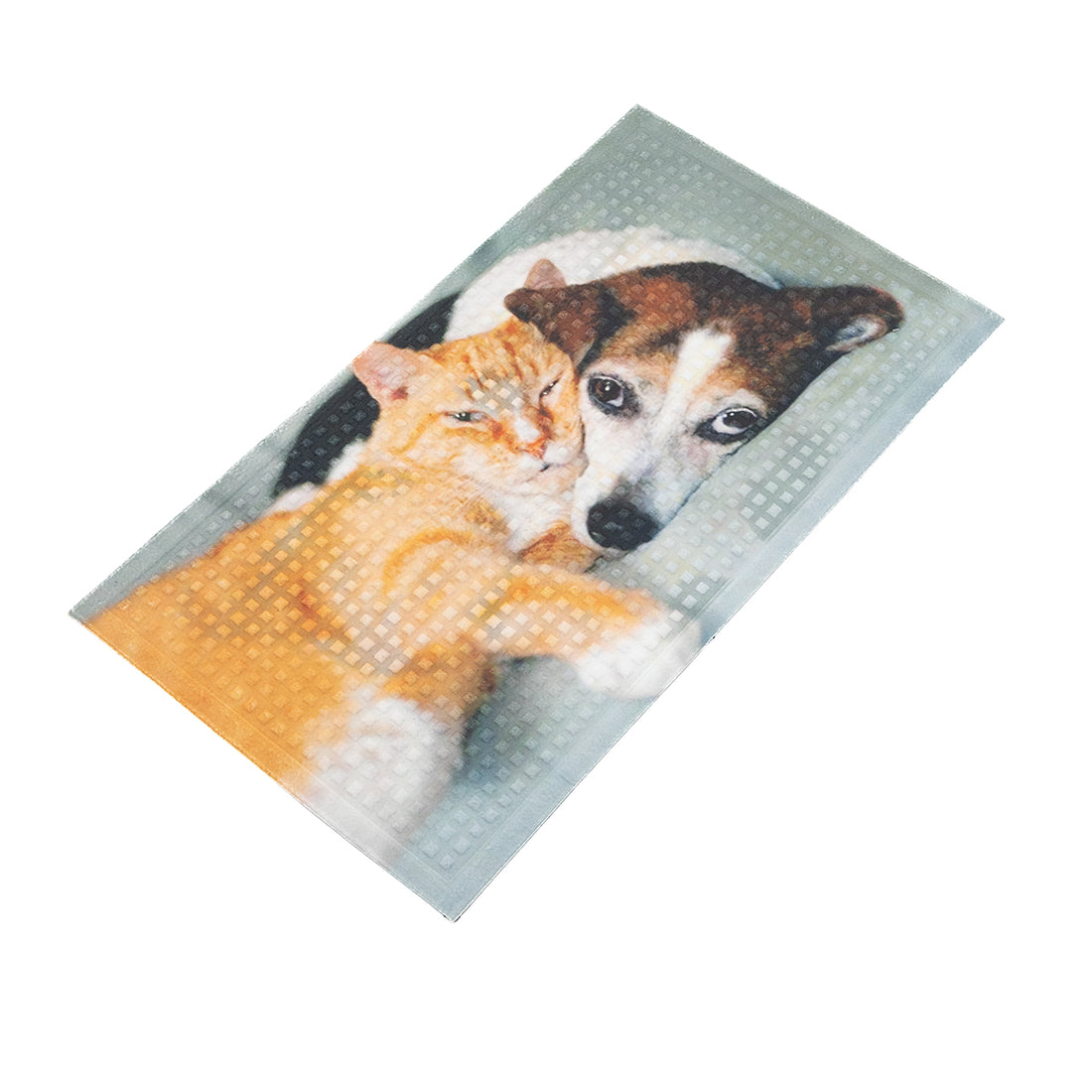 Zerbino Digitale My House Cane&amp;Gatto