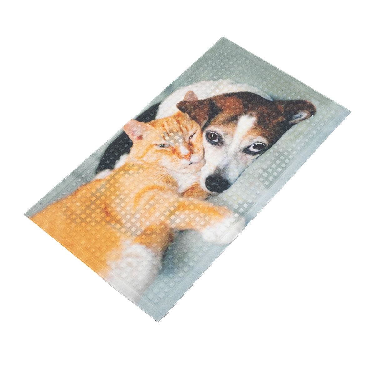 Zerbino Digitale My House Cane&amp;Gatto